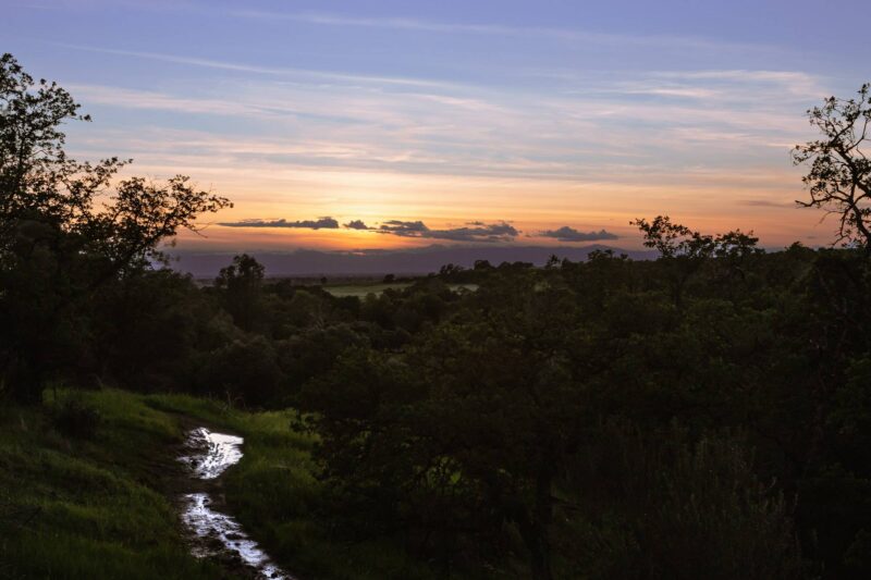 Sunset and puddle reelections on the South Rim Trail, 2014 - Upper Bidwell Park - Chico, CA