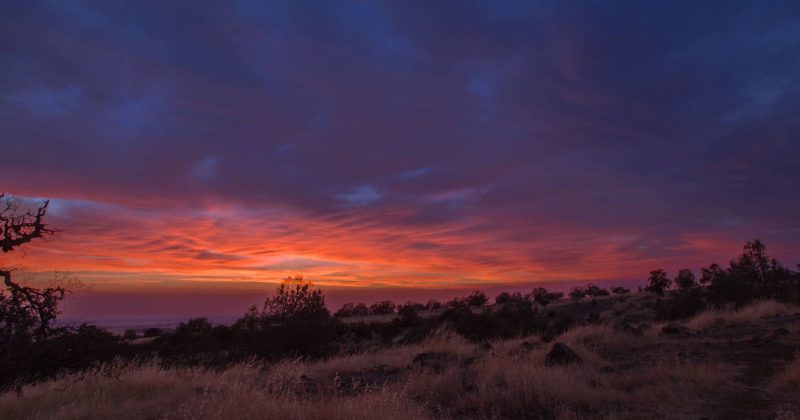 A pink and orange sky at sunset from the North Rim Trail in Upper Bidwell Park.