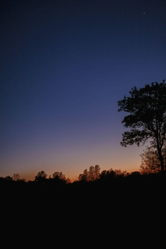 Sunset image with Venus visible!