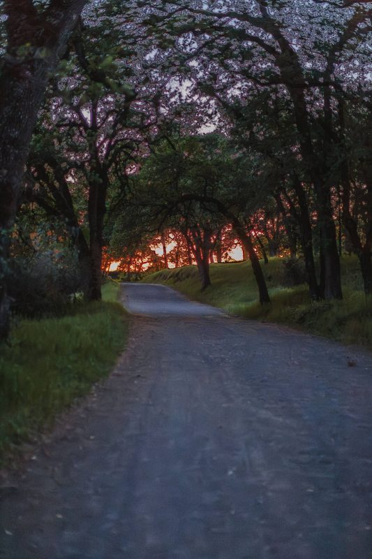 the sky was ablaze as walking out on the Upper Park Road, 2015.