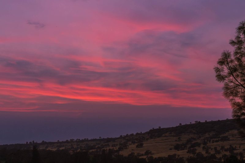 A pink and orange sky at sunset from the North Rim Trail in Upper Bidwell Park.