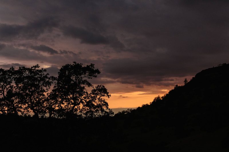 Sunset with storm clouds clearing - Upper Bidwell Park, 2015