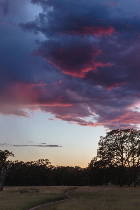 Crazy colors as storm clouds catch vibrant pink color as they clear from an earlier storm in Upper Bidwell Park.