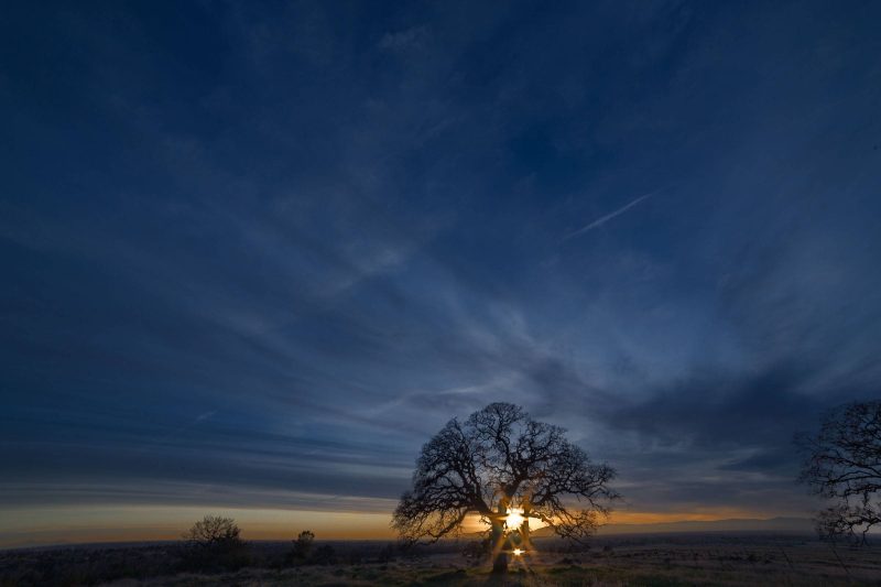 A Christmas Day sunset from the North Rim trail reflected in Horseshow Lake with an oak tree in silhouette, Upper Bidwell Park, 2015